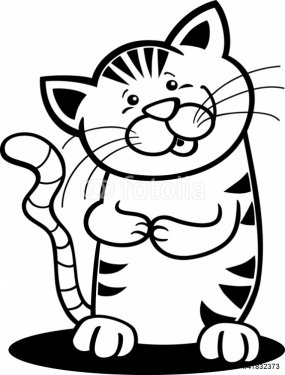 tabby kitten for coloring - 900458746
