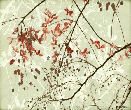 Tangled Branch and Red Blossom - 900265374