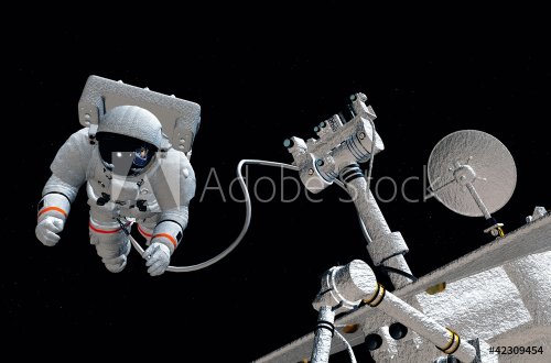 The astronaut - 900462113