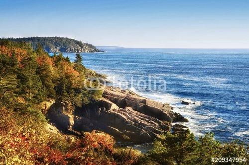 The coast of the Atlantic Ocean. rocky wooded coast. National park of Acadia. USA. Maine
