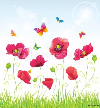 The Red Poppies and Butterfly. - 901138748