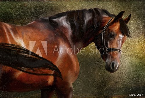 The Thoroughbred classical oil portrait - 901142609
