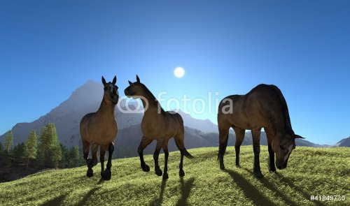 Three horses - 900454314