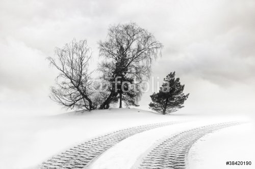 Tire tracks in snow - 901138270