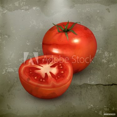 Tomato, old-style vector - 900596692