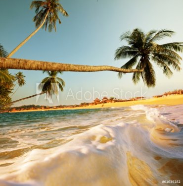 Tropical beach - 901141561