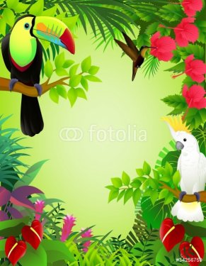 Tropical birds - 900460496