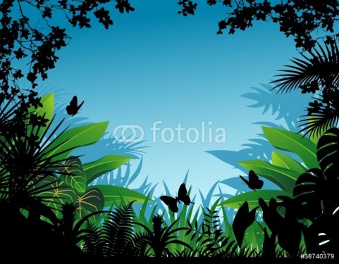 Tropical Forest Background - 900461247