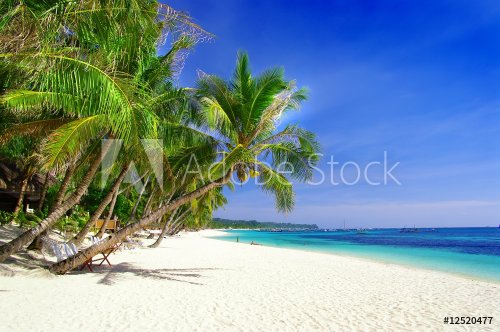 tropical paradise - 900590437
