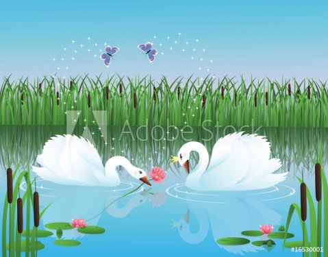 Two swans. - 900954581