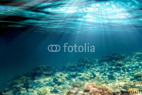  underwater