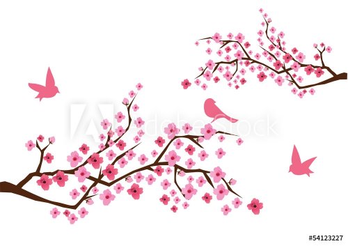 vector cherry blossom with birds - 901144240