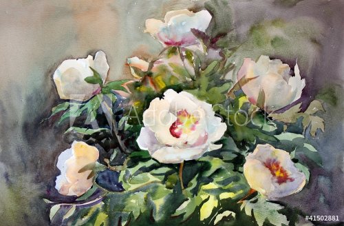 Watercolor painting of the beautiful flowers. - 901148600