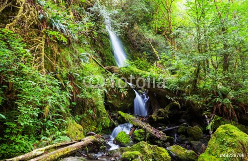 Waterfall in forest - 901139473