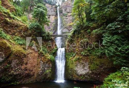 Waterfall in Olympic - 901138524