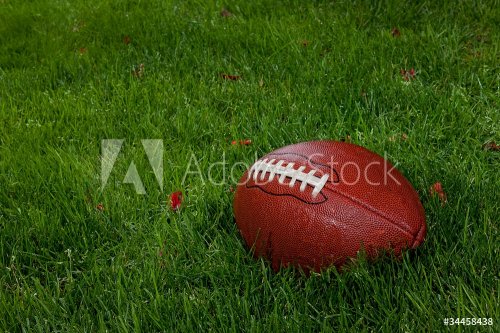 Wet football on the grass - 900220082