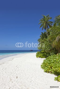 white sands tropical beach on maldives