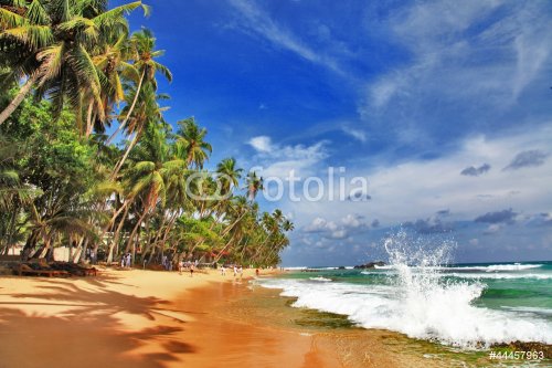 wild beautiful beaches of Sri lanka - 901139269