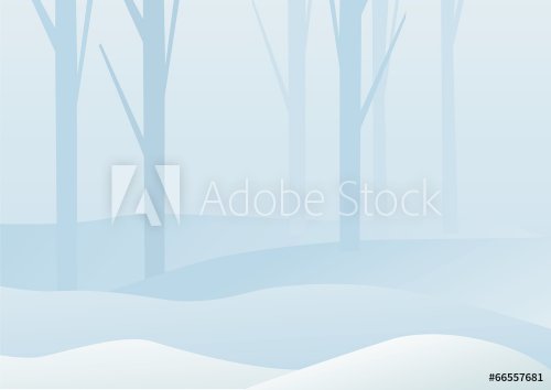winter forest landscape - 901143137