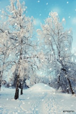 Winter landscape - 901138033