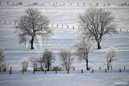 Winterlandschaft in Alverdissen