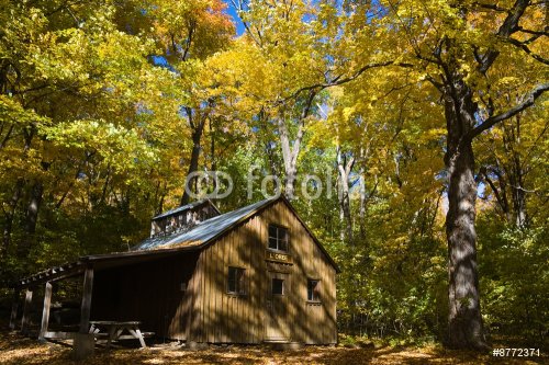 Wood Cabin - 901145674