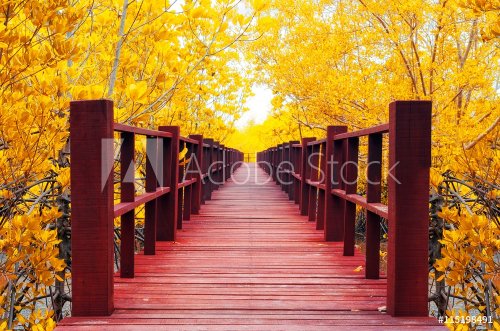 wooden bridge & autumn forest. - 901147966