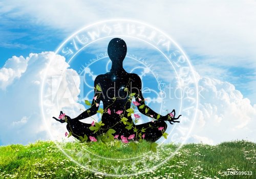 Yoga meditation posture siting on the grass  - 901147896