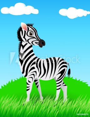 zebra in the wild - 900465908
