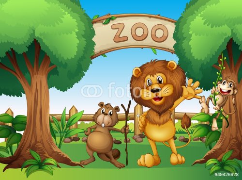 A monkey, beaver and a lion in the zoo