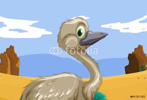 emu in the outback - 900460676