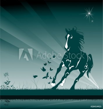 horse in the night box - 900906201