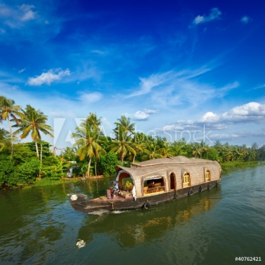 Houseboat on Kerala backwaters, India - 900331404