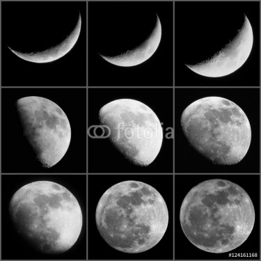 Moon Progression - 901149509