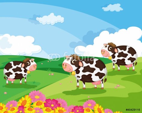 three cows