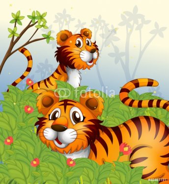 Tigers in the woods