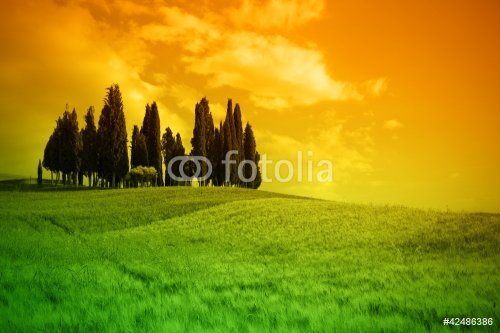 Typical landscape in Tuscany