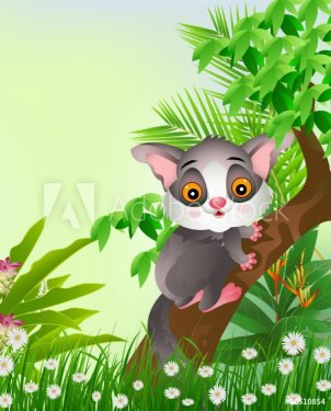 squirrels on tree with tropical forest background - 900949522