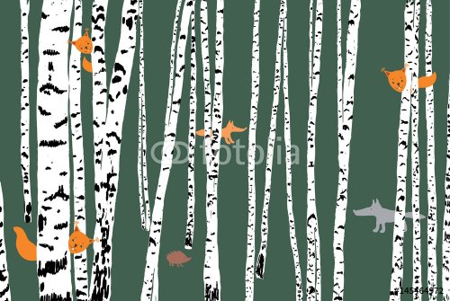 wild animals in a birch forest - 901151738