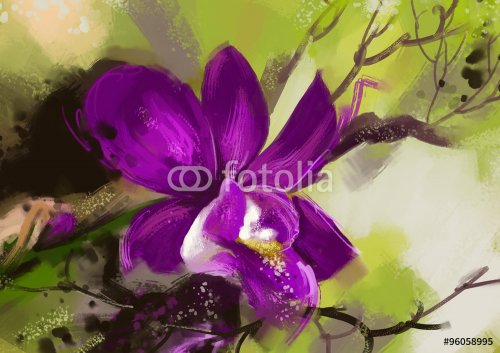 orchid flowers - Stock Image - 901151910