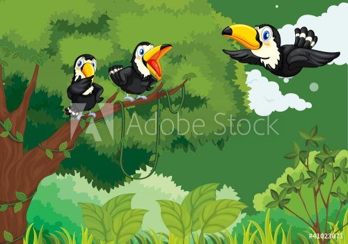 Toucans in the jungle
