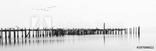 Pier in Black and White - 901152910