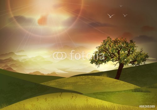Rural Summer Landscape With Fields and Hills - Vector Illustration - 901152000