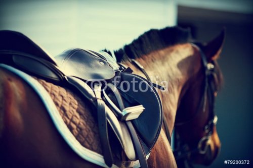 Saddle with stirrups - 901151502