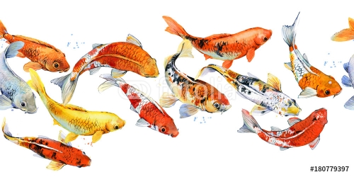 watercolor illustration of koi carp fish seamless pattern