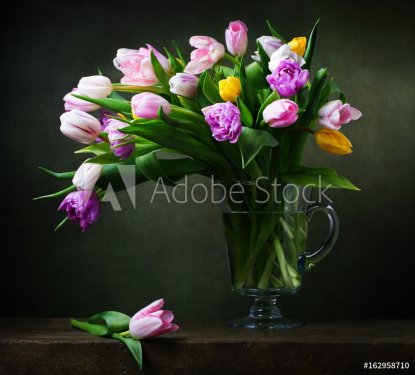 Still life with colorful tulips - 901154745