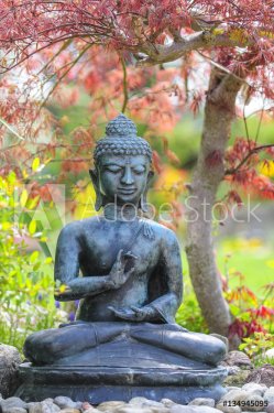 Buddha-Statue - 901154792
