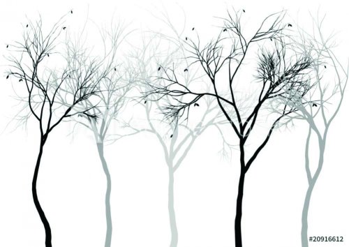 foggy forest, vector