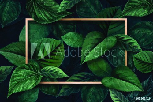 Forest leaf frame - 901154891
