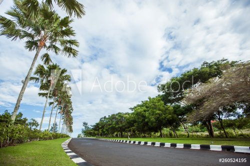 road with palm trees background of blue sky with clouds - 901155014